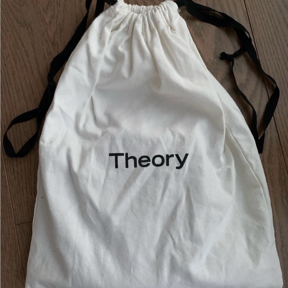 Theory Bag (crossbody and chain straps + dust bag included) - Picture 4 of 4